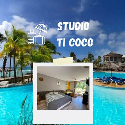 TI COCO karu go