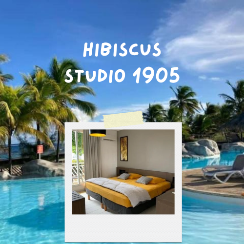 HIBISCUS karu go